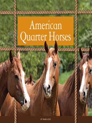 cover image of American Quarter Horses